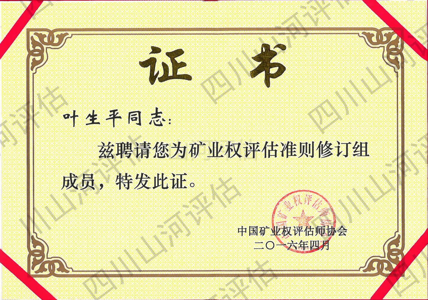 礦業(yè)權(quán)評估準(zhǔn)則修訂組成員